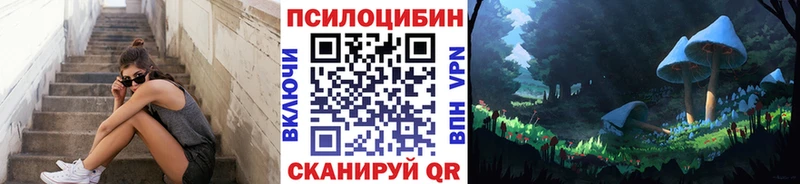 Галлюциногенные грибы Psilocybine cubensis  Унеча 