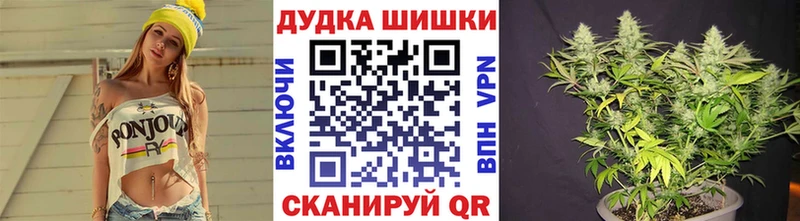 Шишки марихуана ГИДРОПОН  купить наркоту  Унеча 
